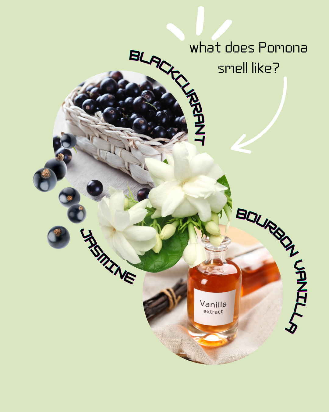 Pomona | Inspired by Valentino Donna Born In Roma